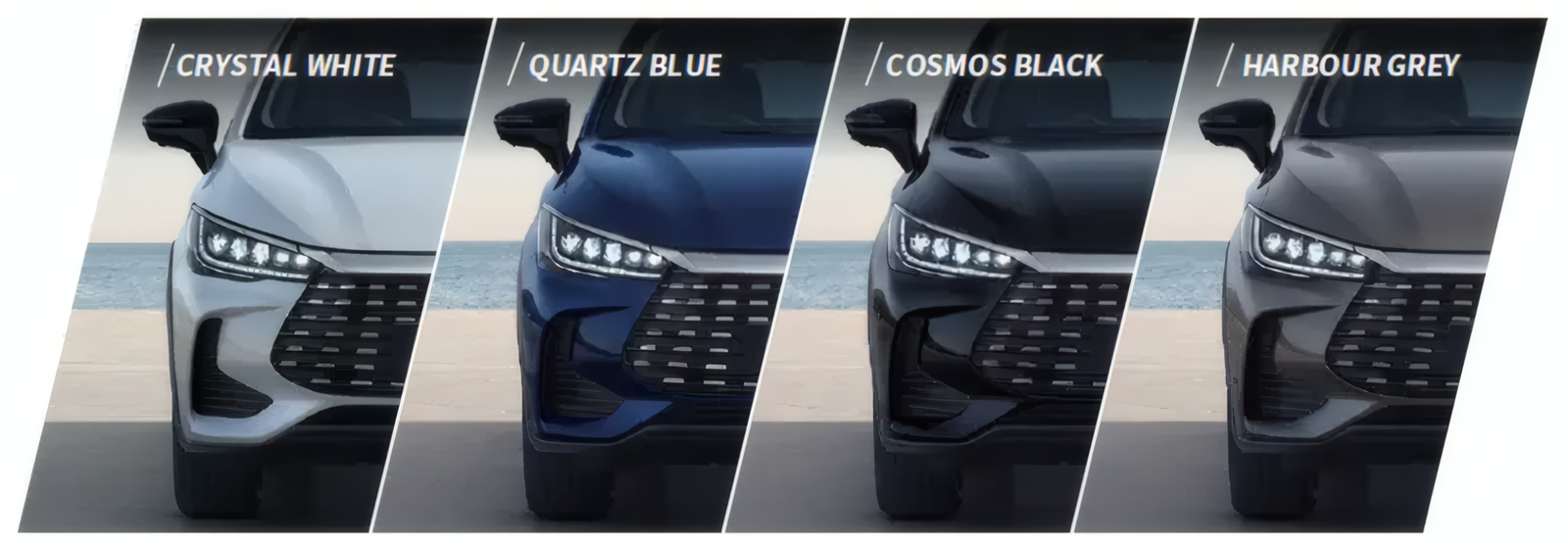 BYD M6 DM Exterior Colors